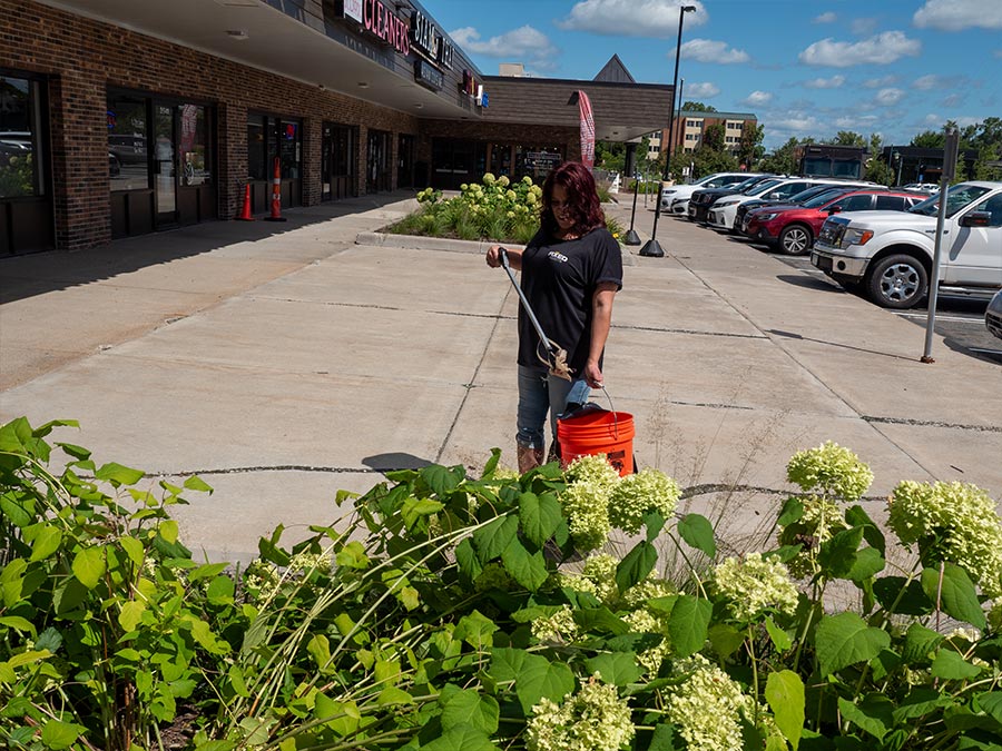 Fixed Assets Arden Plaza Arden Hills Grounds Policing Retail 11